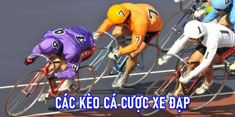 Mẹo Phân Tích Xu Hướng Trong Cá Cược Xe Đạp Tại F168 5 Những kèo cược xe đạp thường gặp trong các cuộc đua