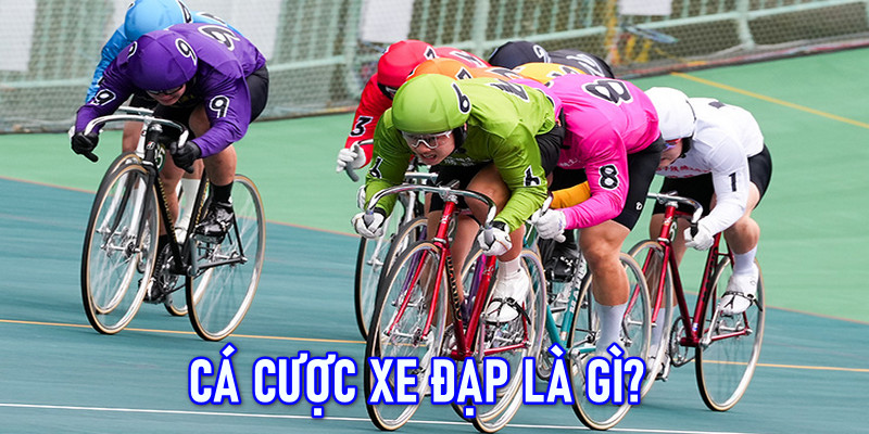 Mẹo Phân Tích Xu Hướng Trong Cá Cược Xe Đạp Tại F168 4 Thông tin cơ bản về loại hình cá cược đua xe đạp